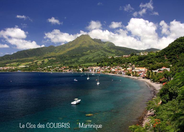Lodge Colibris Piscine Privee Vue Panoramique Mer Et Montagne Pelee , 500 M Plage Dans Un Parc , Calme Assure Ideal Pour Decouvrir Le Nord Caraibes Le Carbet Luaran gambar